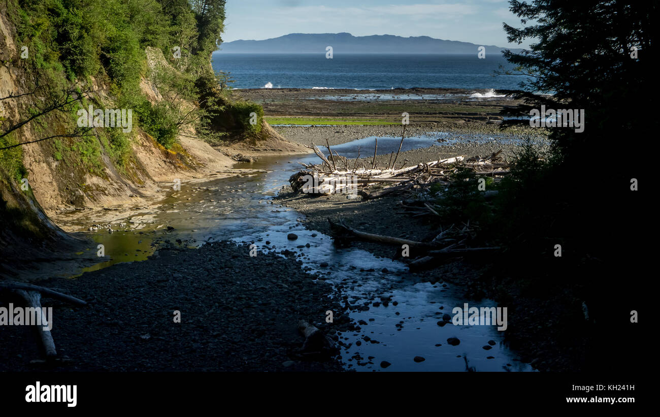 (West Coast Trail, Vancouver Island, BC, Kanada) Stockfoto