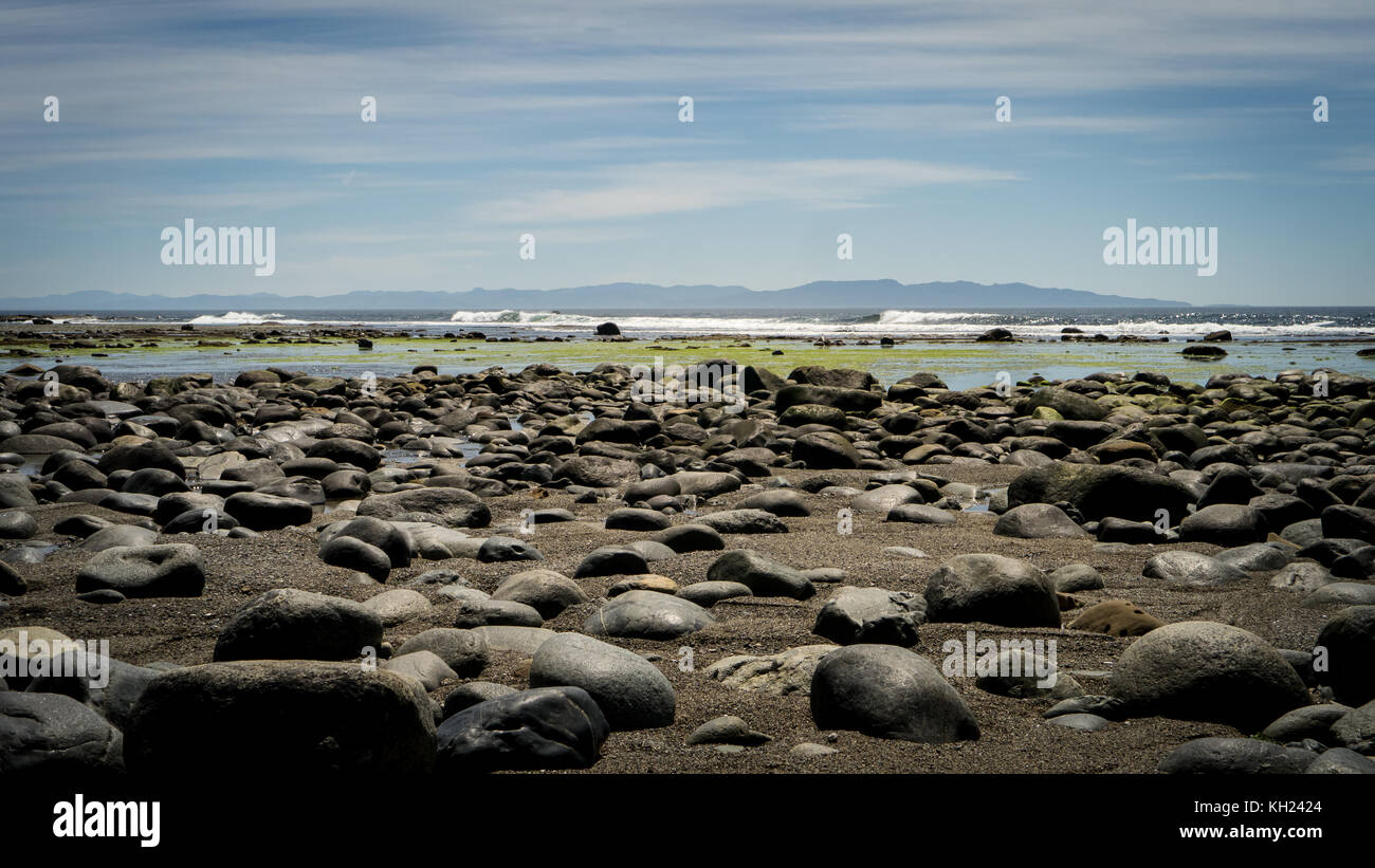 (West Coast Trail, Vancouver Island, BC, Kanada) Stockfoto