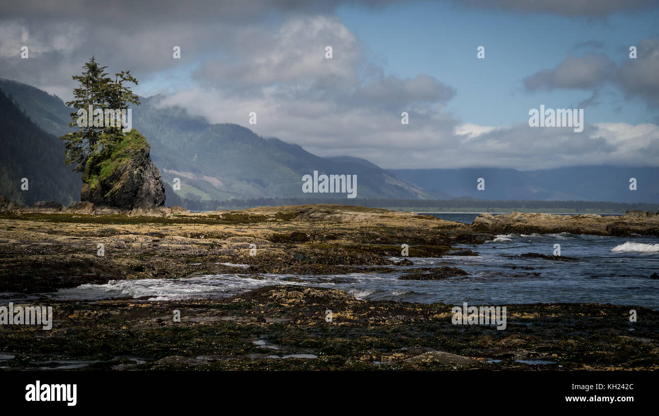 (West Coast Trail, Vancouver Island, BC, Kanada) Stockfoto