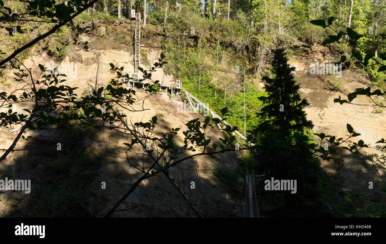 Logan Creek Suspension Bridge (im Schatten) und die vielen Leitern, die dazu führen, dass es (West Coast Trail, Vancouver Island, BC, Kanada) Stockfoto