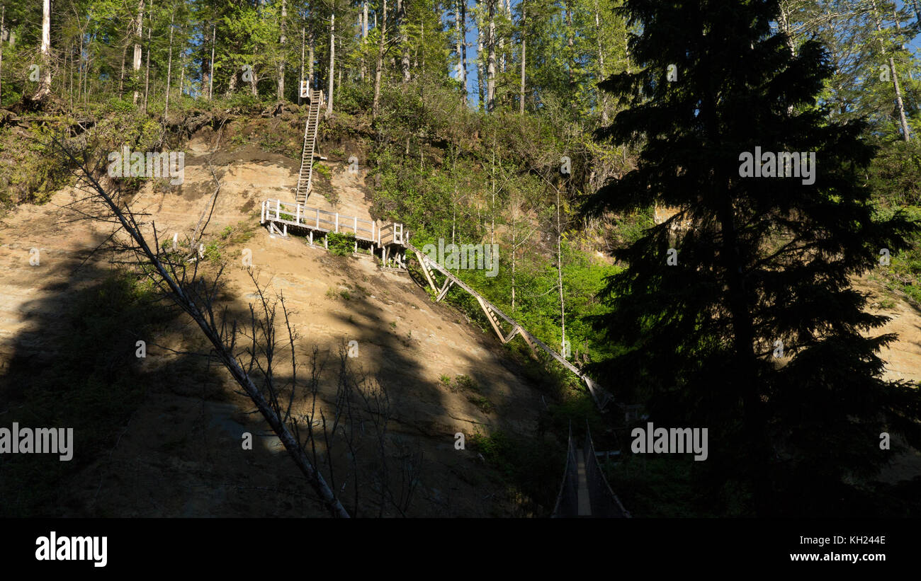 Logan Creek Suspension Bridge (im Schatten) und die vielen Leitern, die dazu führen, dass es (West Coast Trail, Vancouver Island, BC, Kanada) Stockfoto