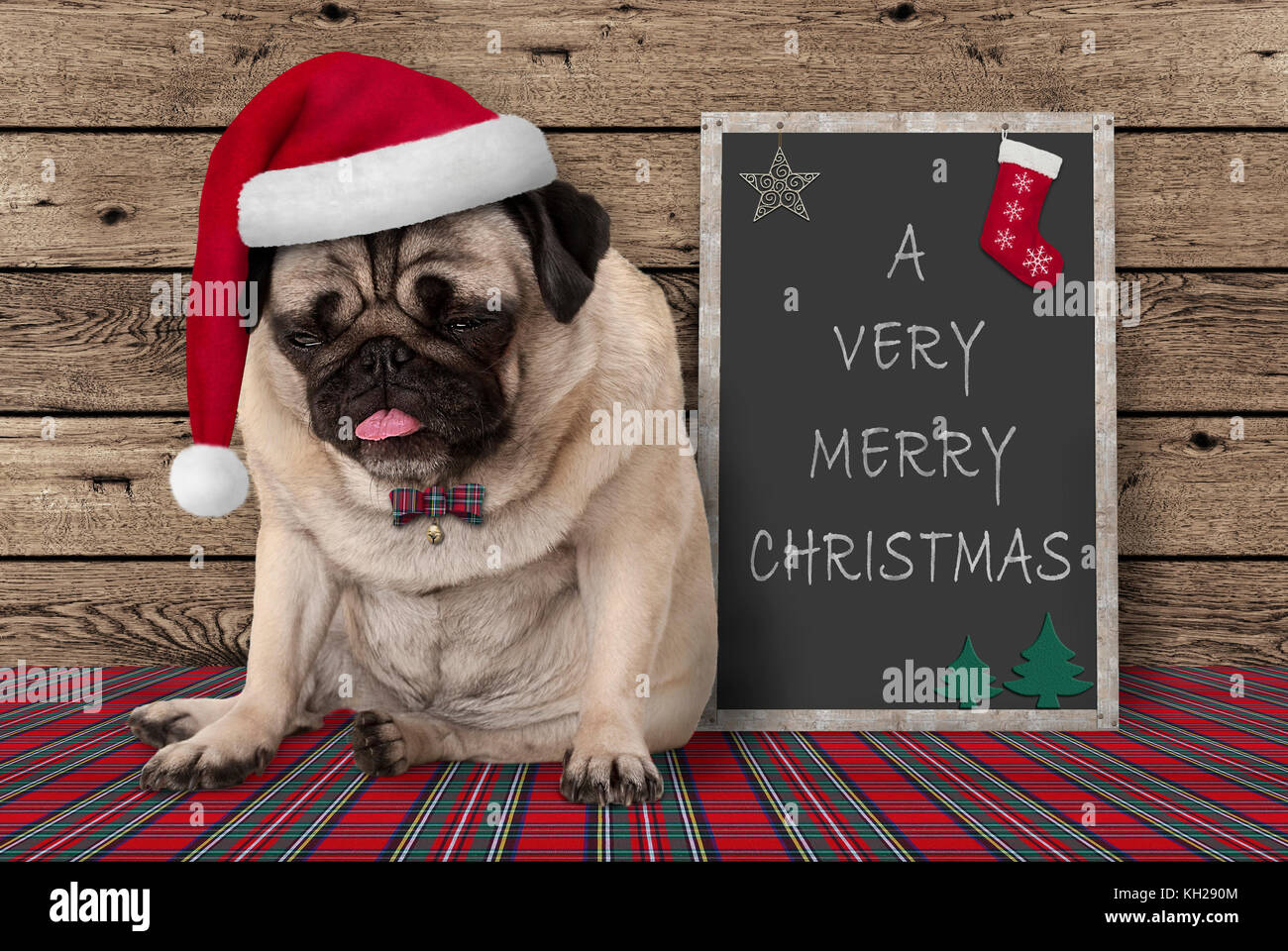 Grumpy mops Welpe Hund mit roten santa hat neben Blackboard Schild mit