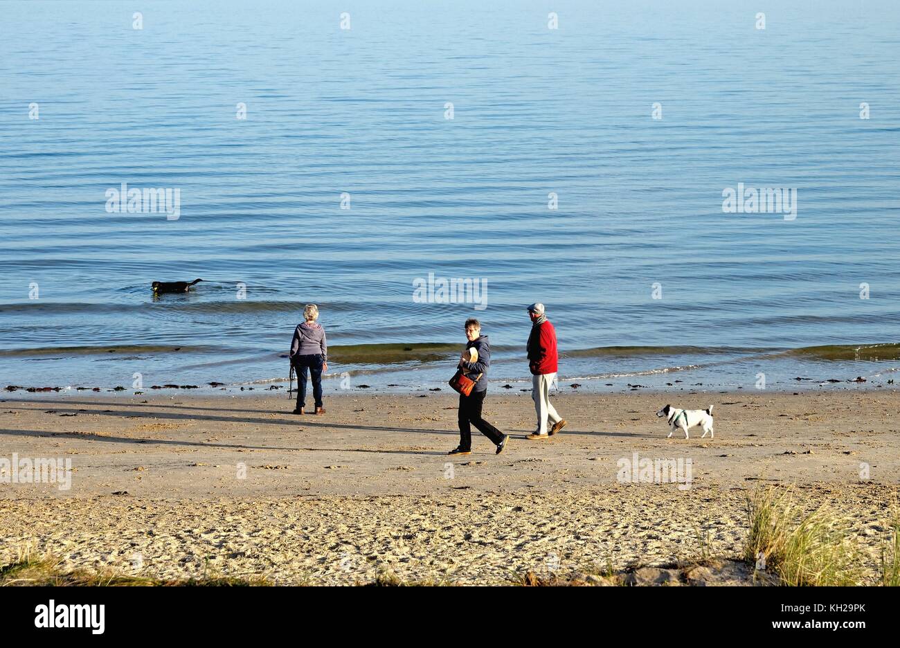 Menschen zu Fuß auf Studland Bay Strand im Herbst Sonne Dorset England uk Stockfoto
