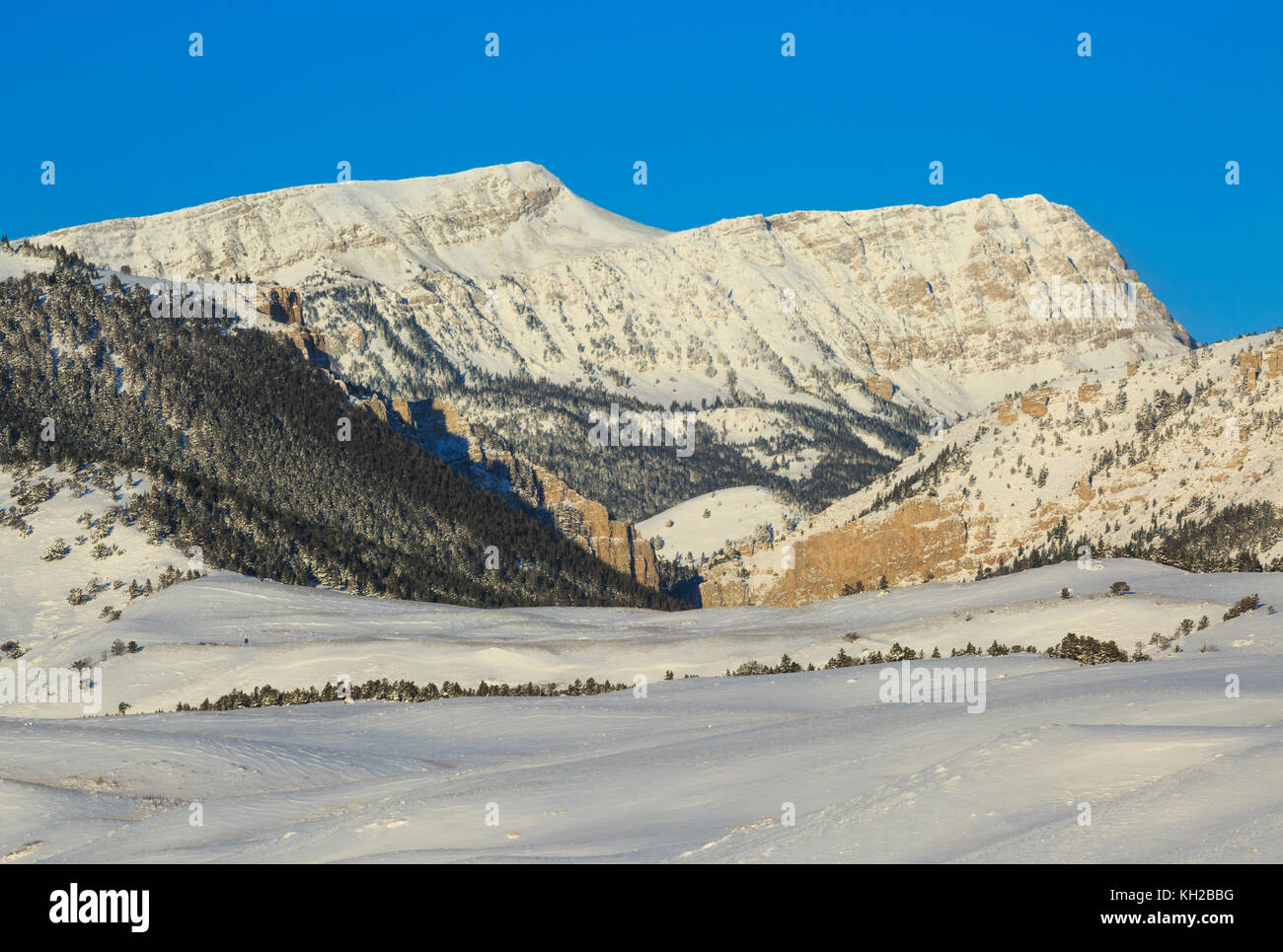 Fairview Mountain entlang der Rocky Mountain Front im Winter in der Nähe von Augusta, Montana Stockfoto