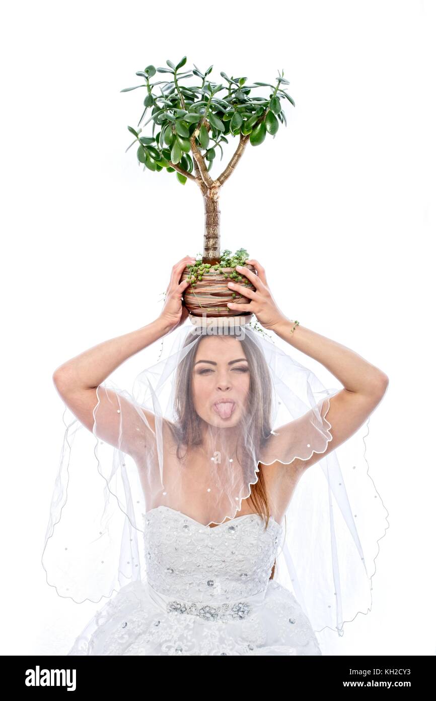 Eine junge dunkelhaarige Mädchen im Schnee - Kleid der weisse Spitze Braut hält einen Topf Geld - Baum in den Händen gekleidet. auf weißem Hintergrund fotografiert. Stockfoto