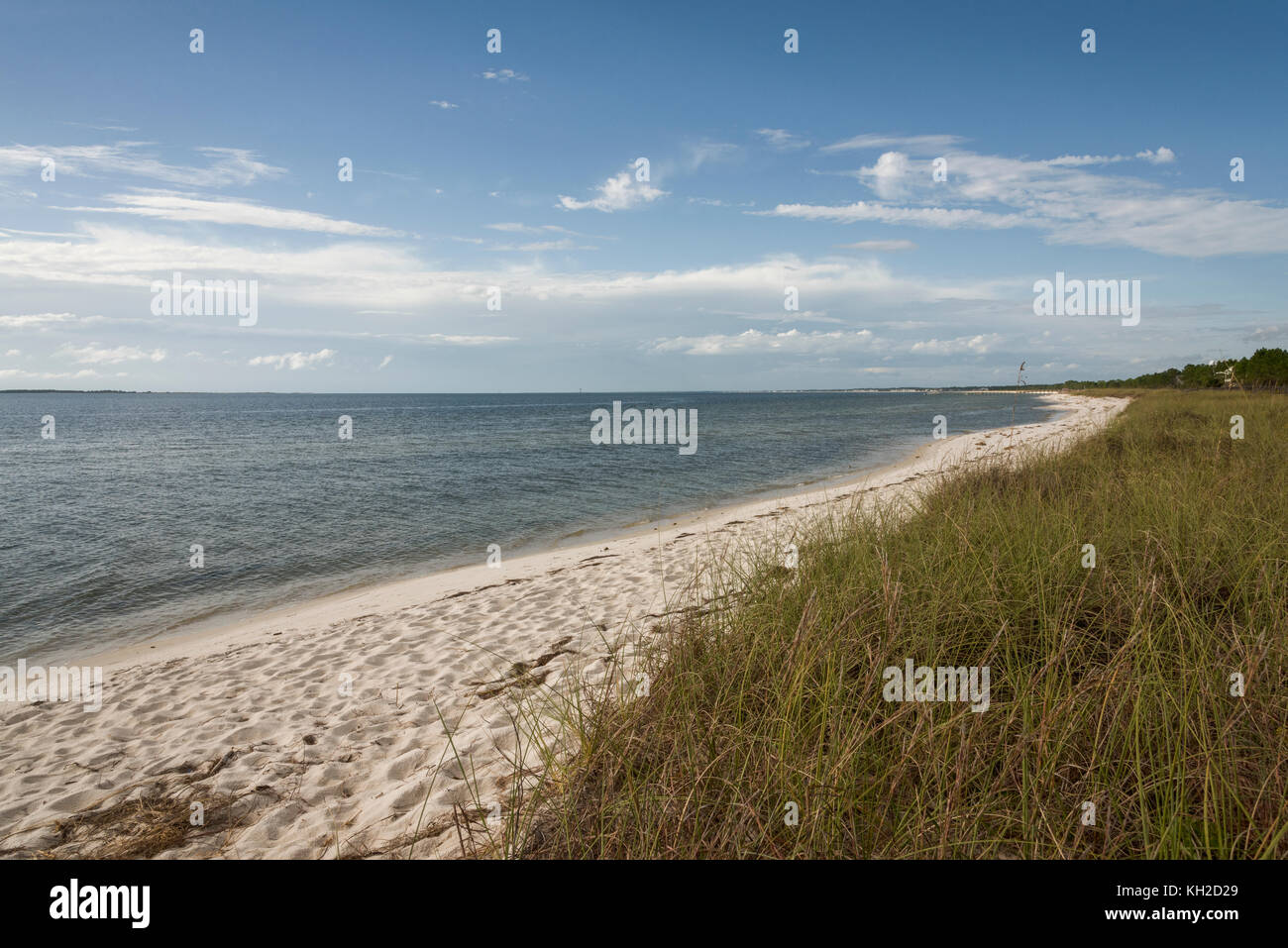 Emerald Strände der Golfküste, Gulf County, Florida Stockfoto