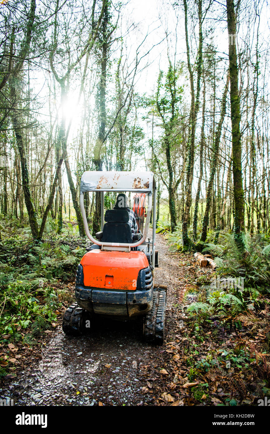 Julie Hillman, weibliche Totengräber arbeiten an boduan des etermnal Forest Trust Heiligtum woodland Gräberfeld in der Nähe von Pwllheli, Gwynedd, Wales UK Stockfoto