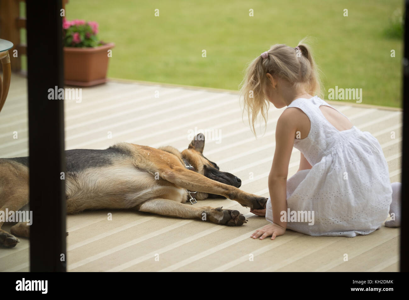 Kleines Mädchen halten Hunde Pfote in der Nähe von Pet auf der Veranda sitzen, Ansicht von hinten am Kind, Haustier, Krankheit, Verletzung, Kid spielen mit inländischen Stockfoto