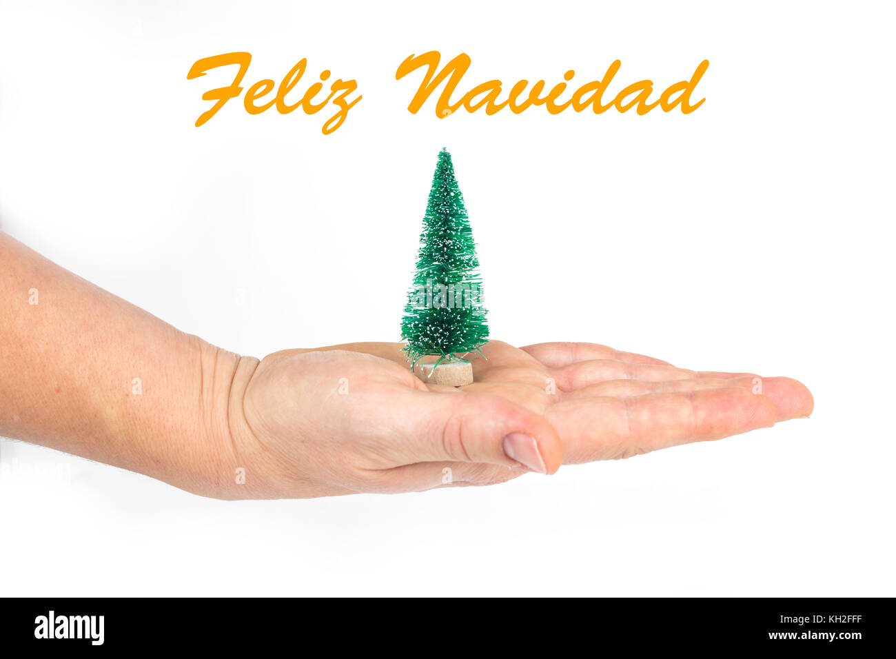 Detail der Hand einer Frau mit einem kleinen Weihnachtsbaum mit Text in Spanisch "Feliz Navidad" in Weiß isoliert Hintergrund. Stockfoto