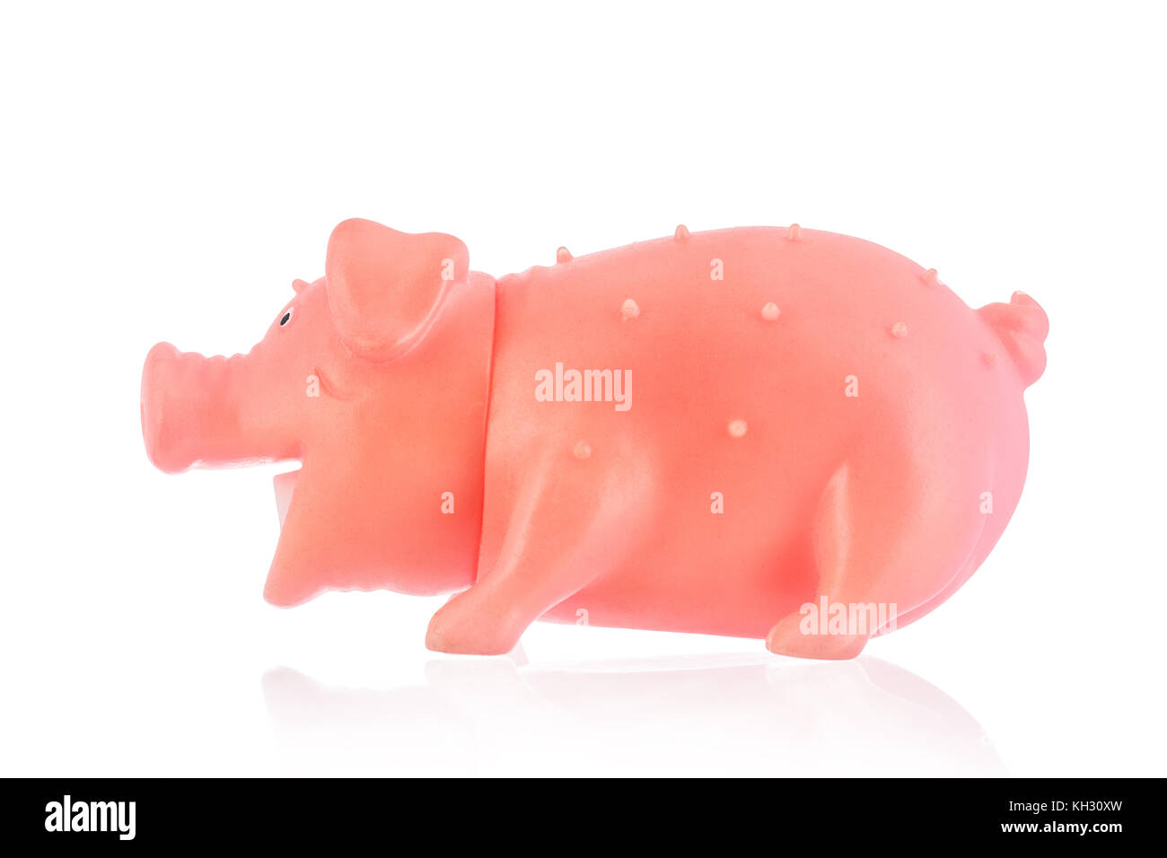 Gummi Schwein Spielzeug für Hunde auf Weiß Stockfoto