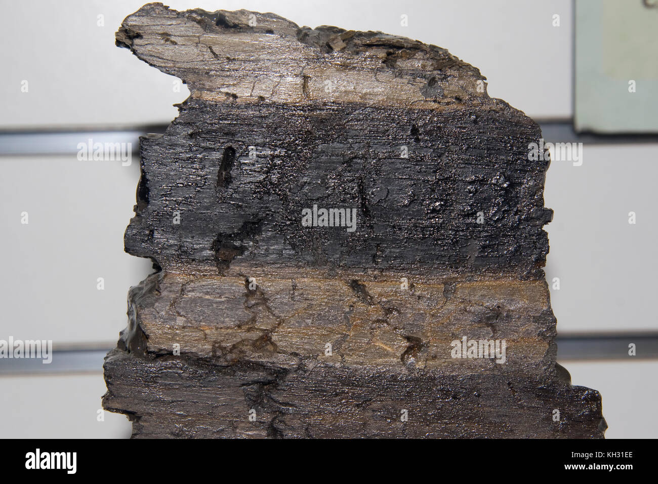 K/T Boundary Auswirkungen Beweise. Boundary Tones markiert das Ende der Kreidezeit enthält schockiert, Quarz und Iridium Anomalie in der Nähe von der Spitze. Auswirkungen verursacht Stockfoto