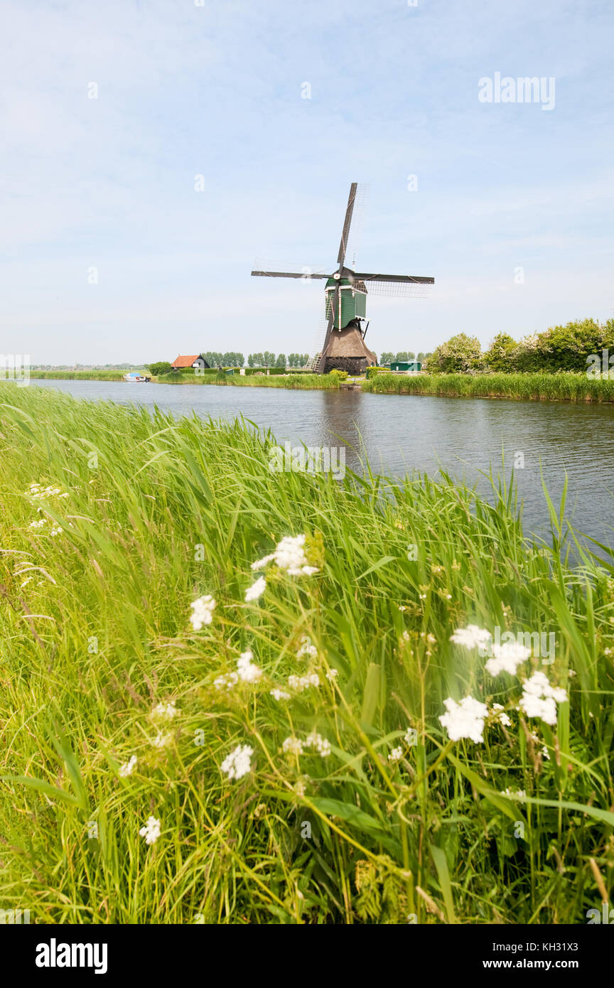 Holländische Windmühle in typischen Hollands Landschaft in der Nähe des Flusses Stockfoto