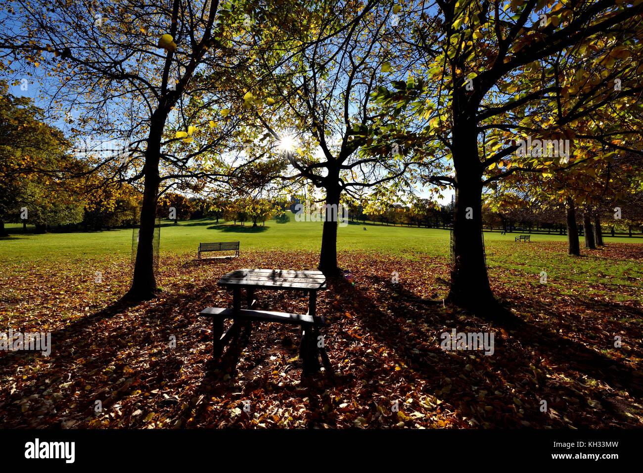 Herbst Szene in Wollaton park Nottingham England Großbritannien Stockfoto
