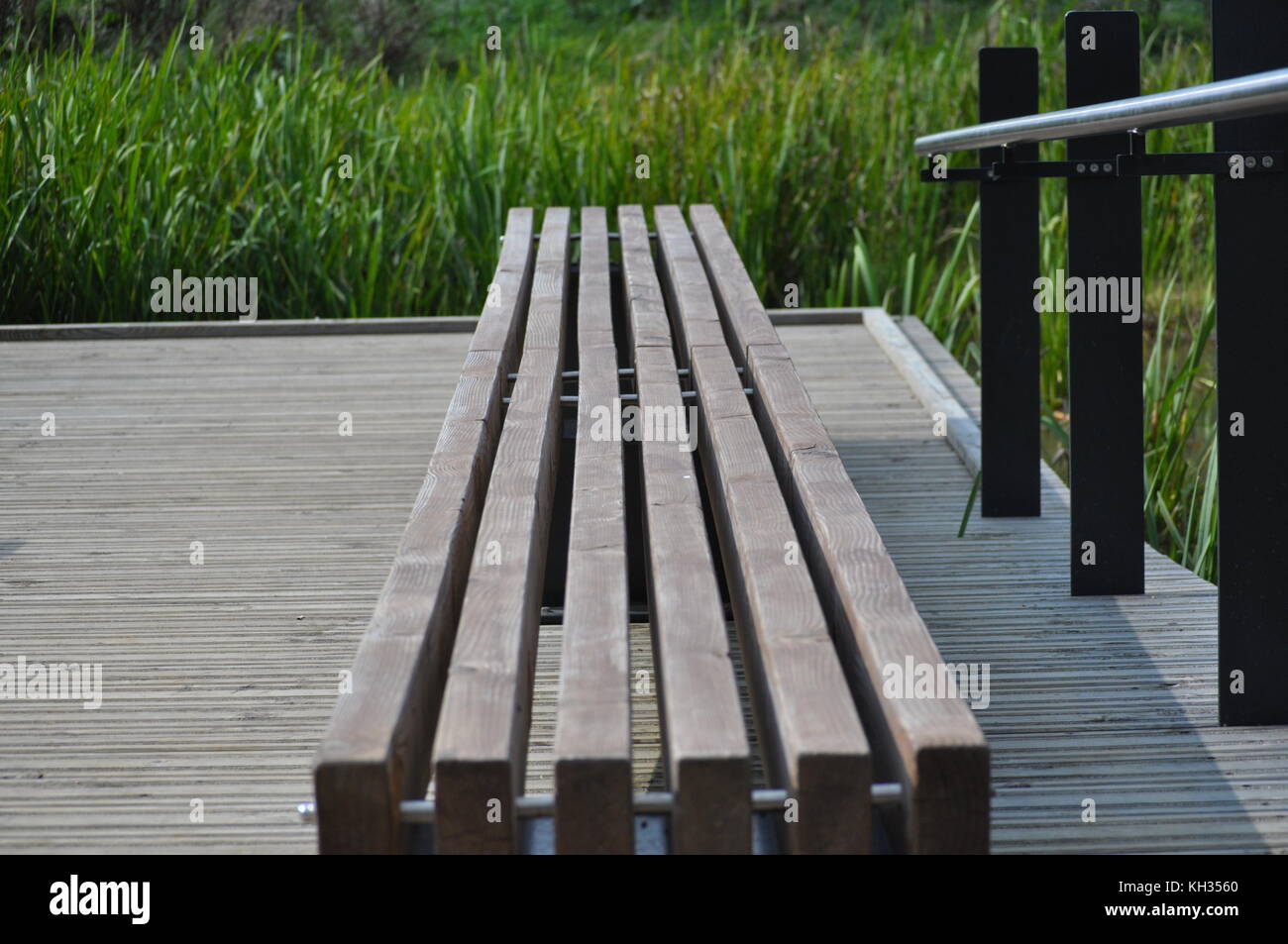 Ruhige Bank in Grosvenor und Hilbert Park Nature Reserve, Tunbridge Wells. An einem sonnigen Nachmittag im September 2017 getroffen Stockfoto