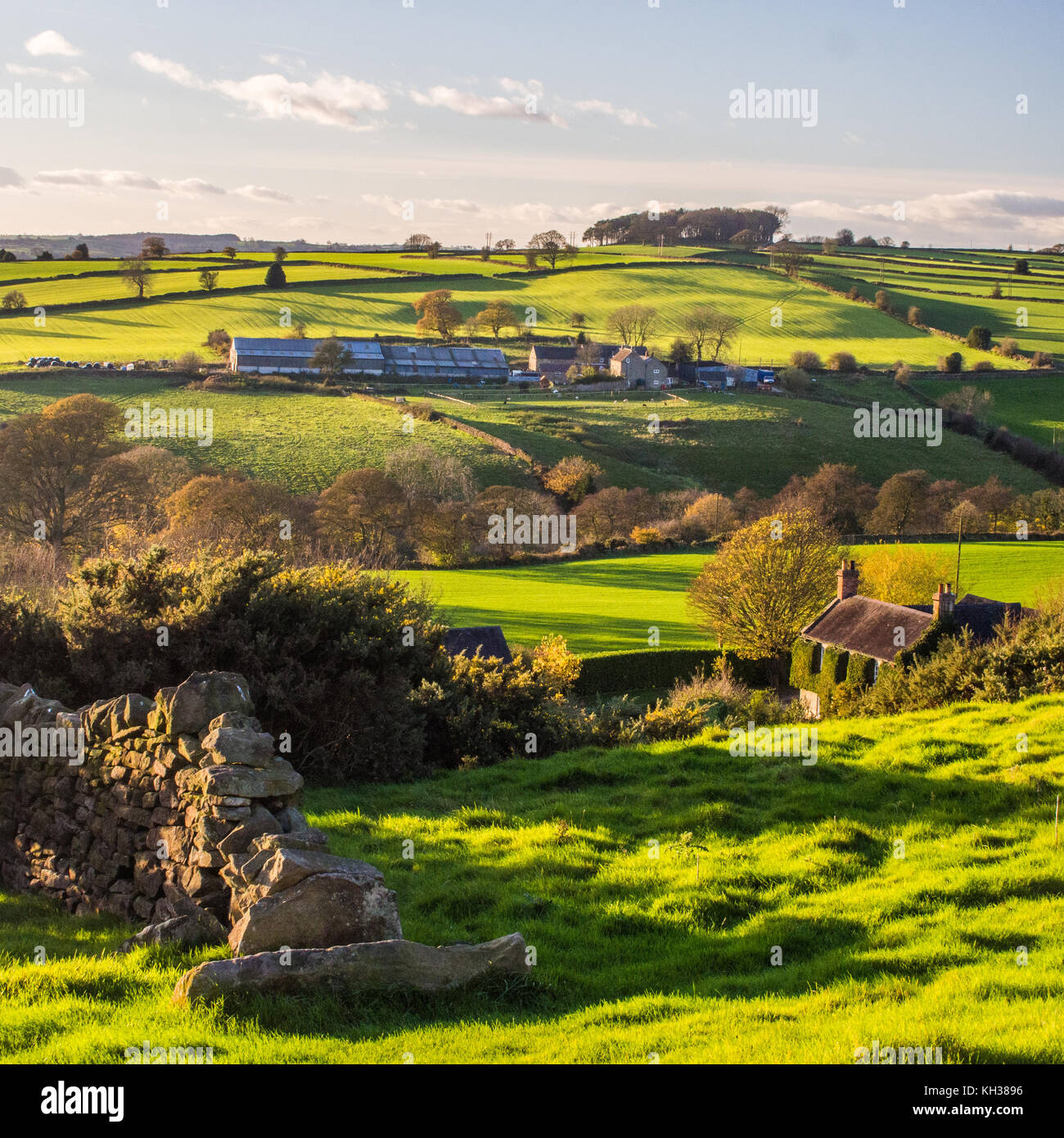 Landschaft in der Nähe von Ludlow, Derbyshire, England. Trockenmauer & Cottage in Vorder- und einen Bauernhof im Hintergrund. Stockfoto