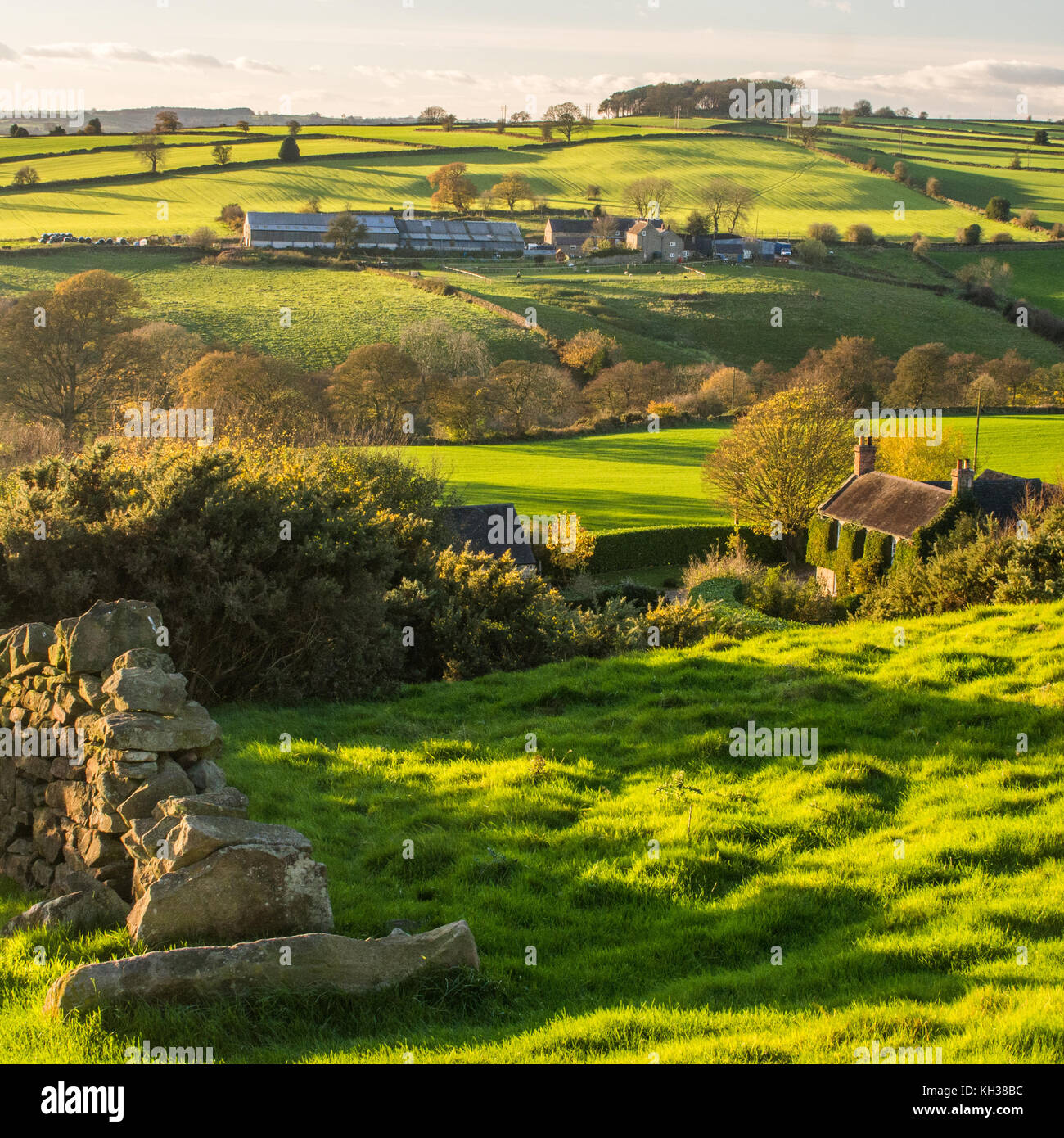 Landschaft in der Nähe von Ludlow, Derbyshire, England. Trockenmauer & Cottage in Vorder- und einen Bauernhof im Hintergrund. Stockfoto