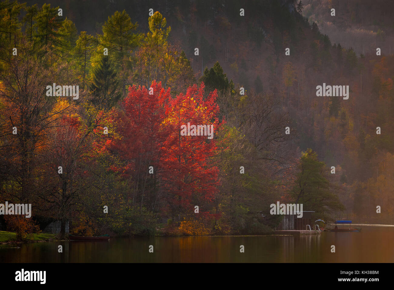 Bled, Slowenien - Herbstfarben os Slowenien am Bleder See bei Sonnenuntergang Stockfoto