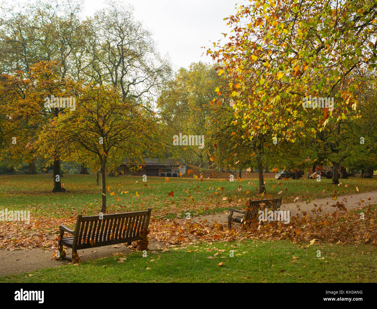 Eine Bö bläst gefallen Blätter im Herbst in einem Londoner Park Stockfoto