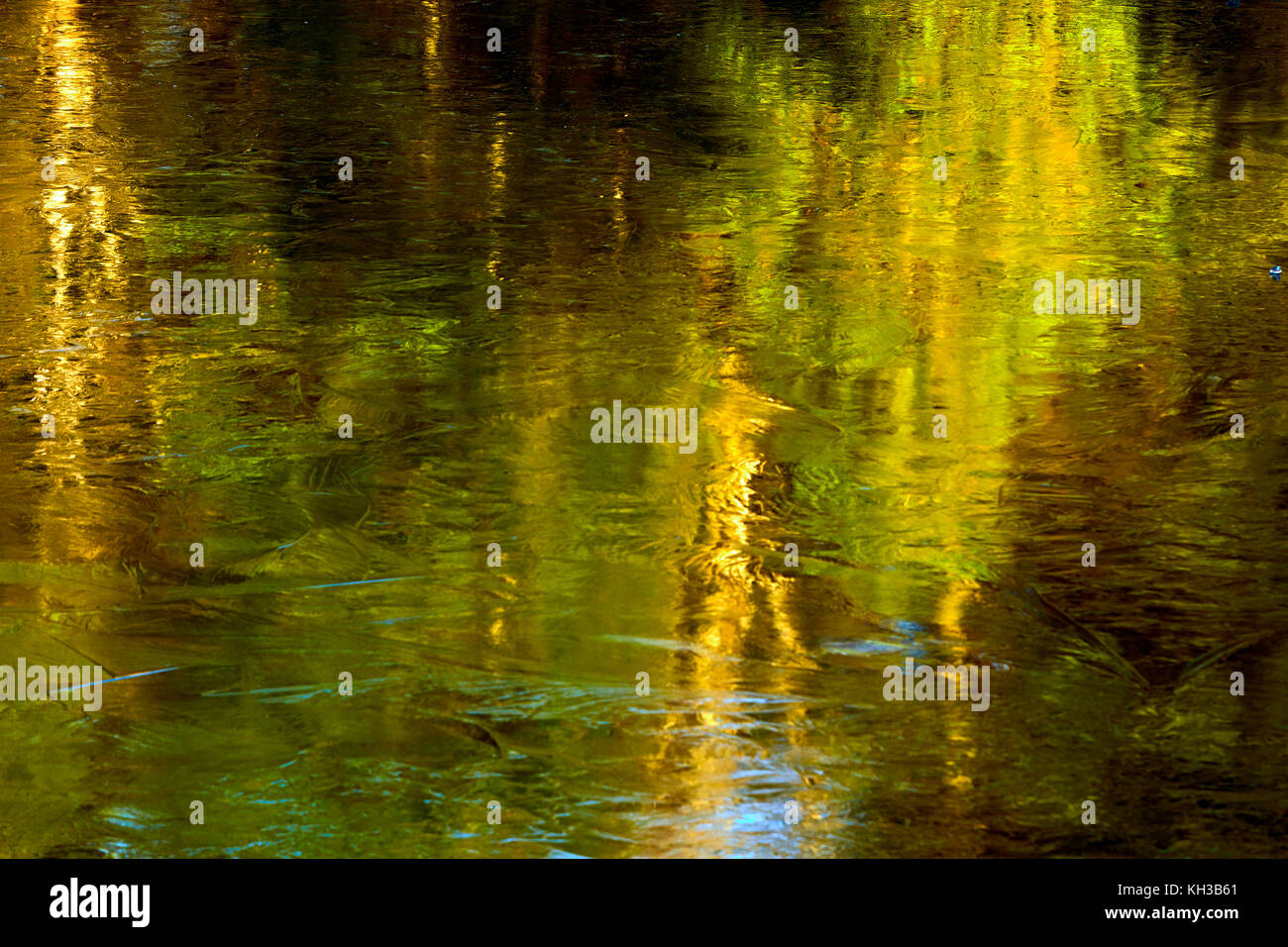 Herbst Farben und Eiskristalle erstellen impressionistisches Meisterwerk Stockfoto