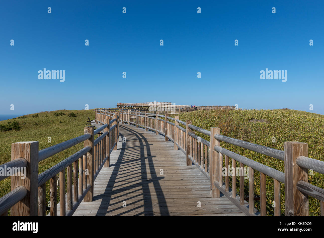 Promenade für Wanderer an Shiretoko gehen Ko Seen (fünf Shiretoko Seen), Shari, Hokkaido, Japan Stockfoto