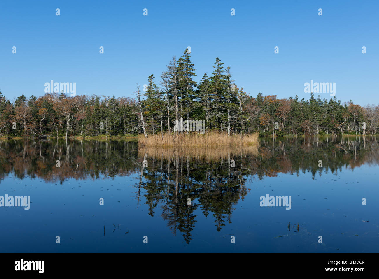 Anzeigen von Shiretoko Shiretoko gehen fünf Seen (Ko) Shari, Hokkaido, Japan Stockfoto