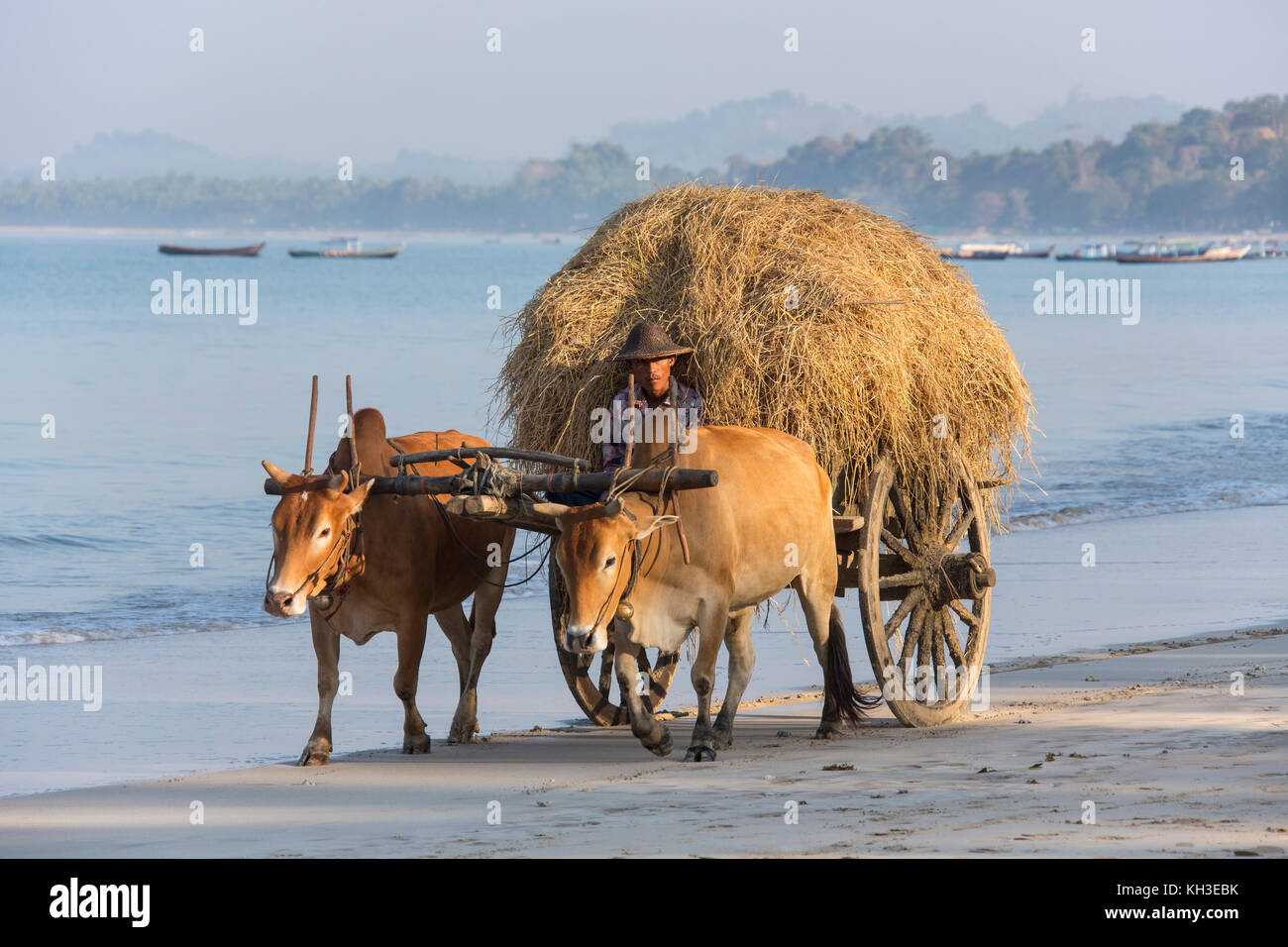 Ochsenkarren am Ngapali Beach im Rakhine State in Myanmar (Burma). Stockfoto