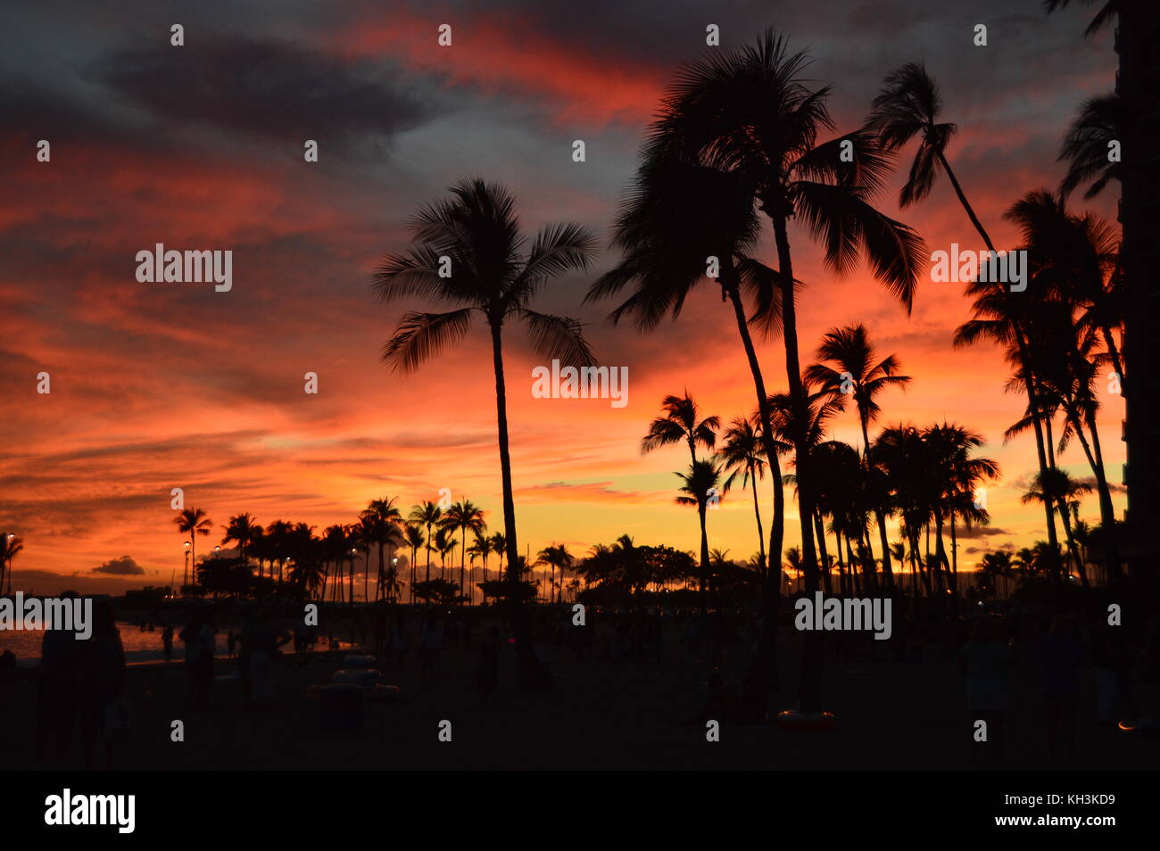Sonnenuntergang am Strand von Waikiki. Oahu, Hawaii, USA, EEUU. Stockfoto