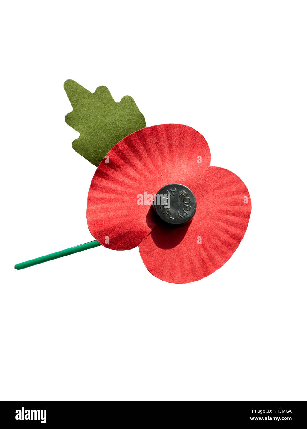 Die Royal British Legion Mohn auf weißem Hintergrund, Surrey, England, Vereinigtes Königreich Stockfoto