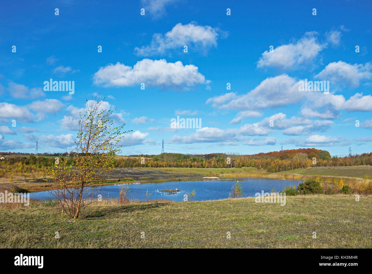 Fairburn Ings, ein RSPB Nature Reserve, West Yorkshire, England, Großbritannien Stockfoto