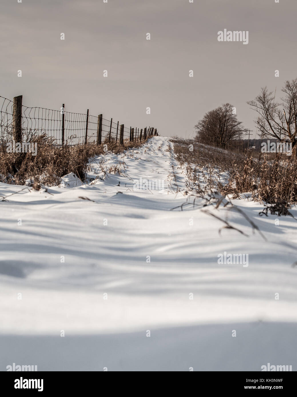 Die cols snowy Zaun Line out im Land Stockfoto