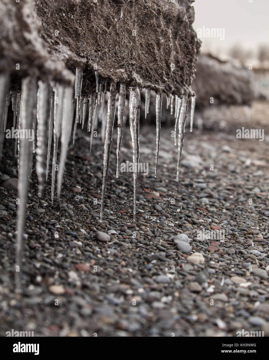 Die Eiszapfen am Strand im Winter Stockfoto
