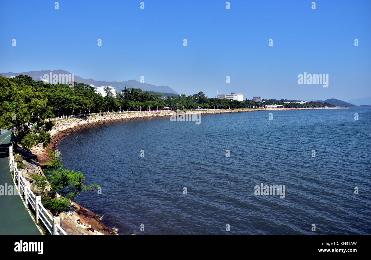 Linie der Bäume in Tai Po Waterfront Park längs Tolo Harbour, Hong Kong Stockfoto