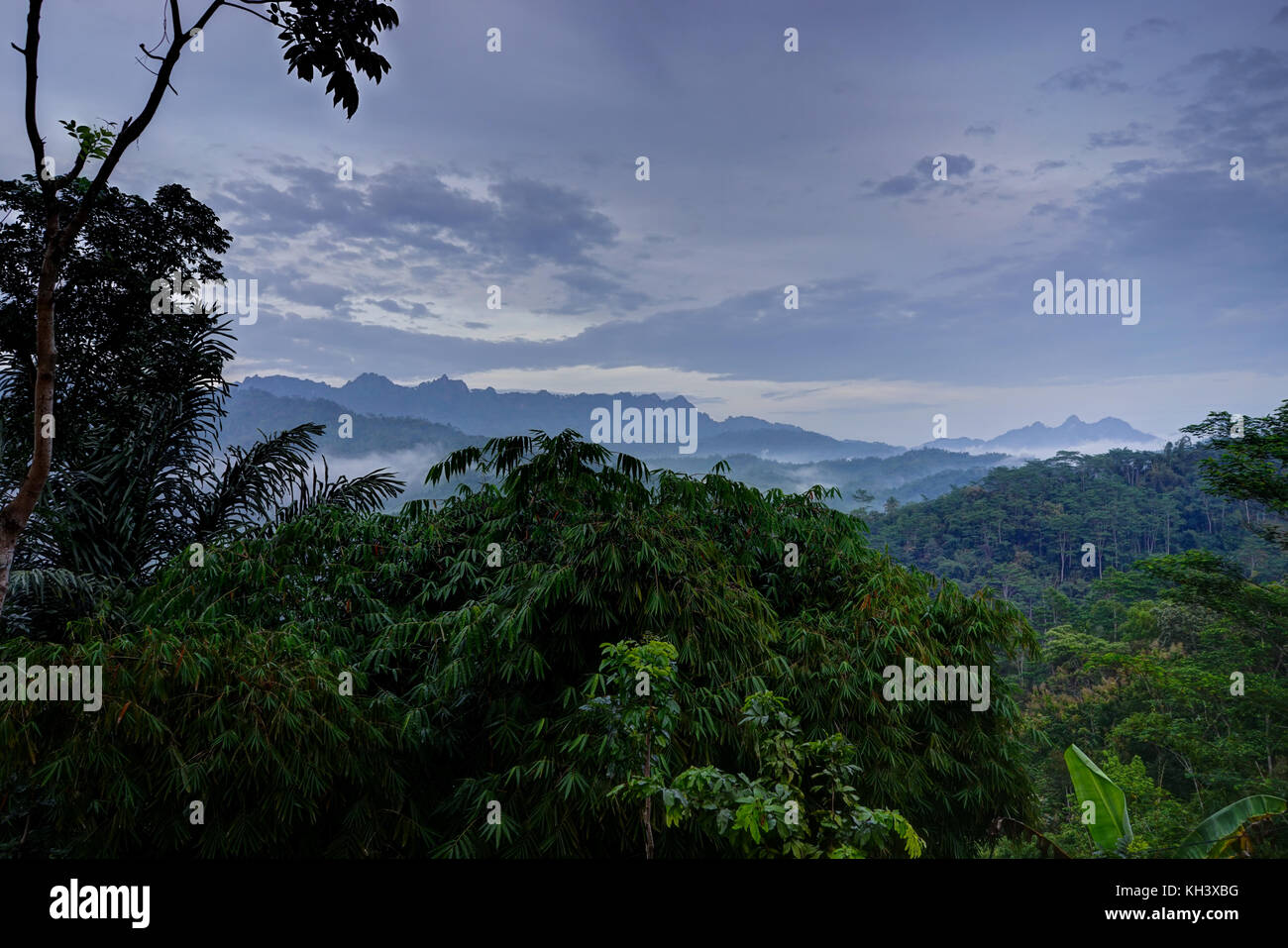 Sunrise View Indonesien Urwald grüne Bäume blue sky Borobudur Stockfoto