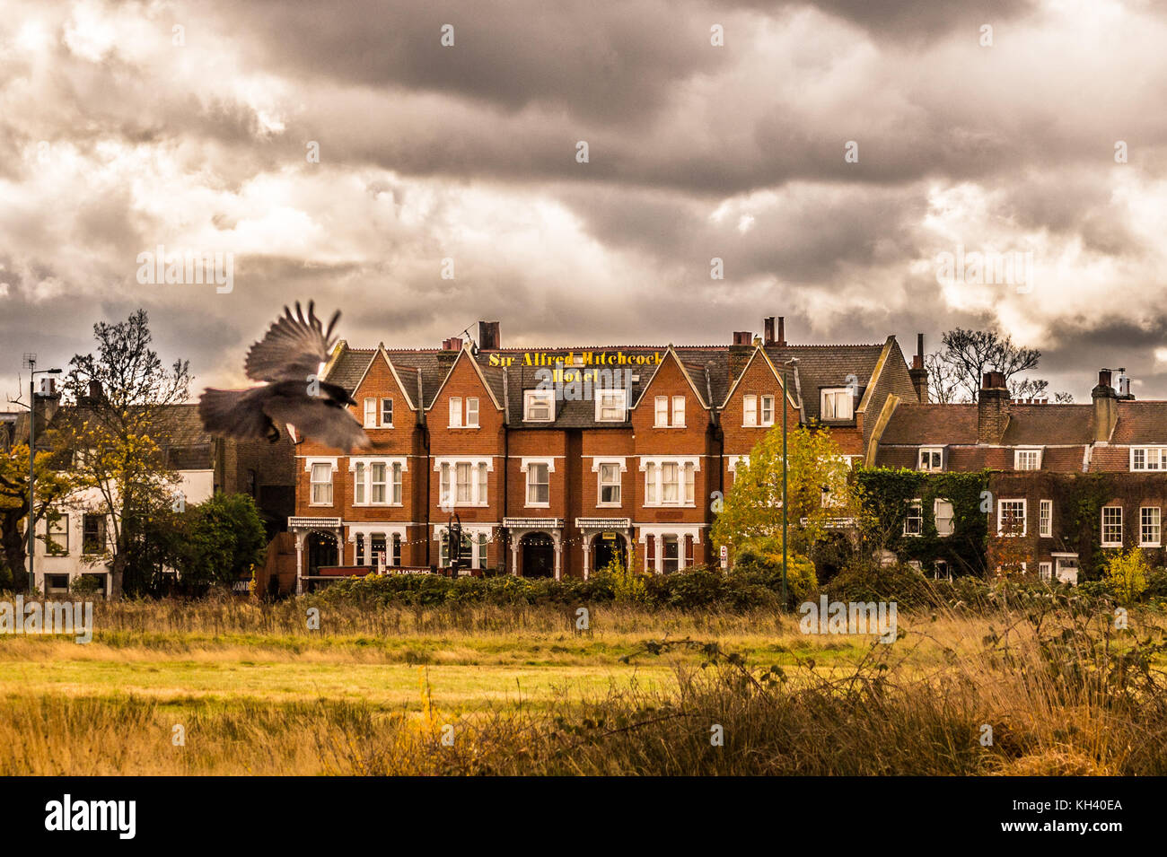 Eine Krähe fliegt von Sir Alfred Hitchcock Hotel, Whipps Cross Road