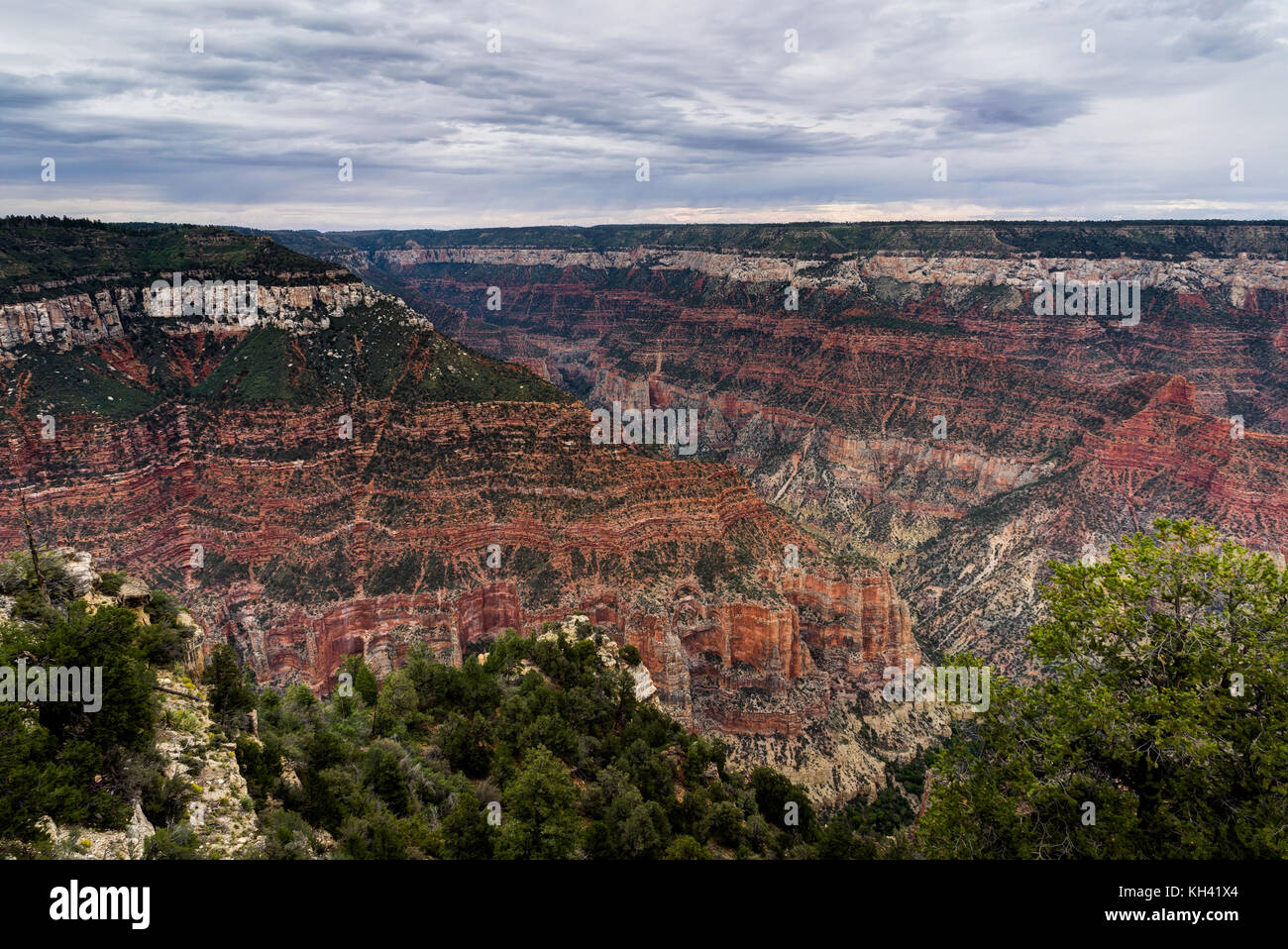 Blick über den Grand Canyon North Rim Arizona Stockfoto