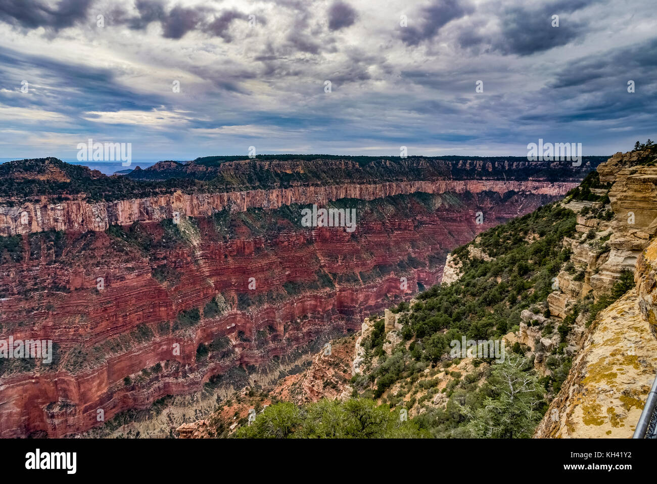 Blick über den Grand Canyon North Rim Arizona Stockfoto