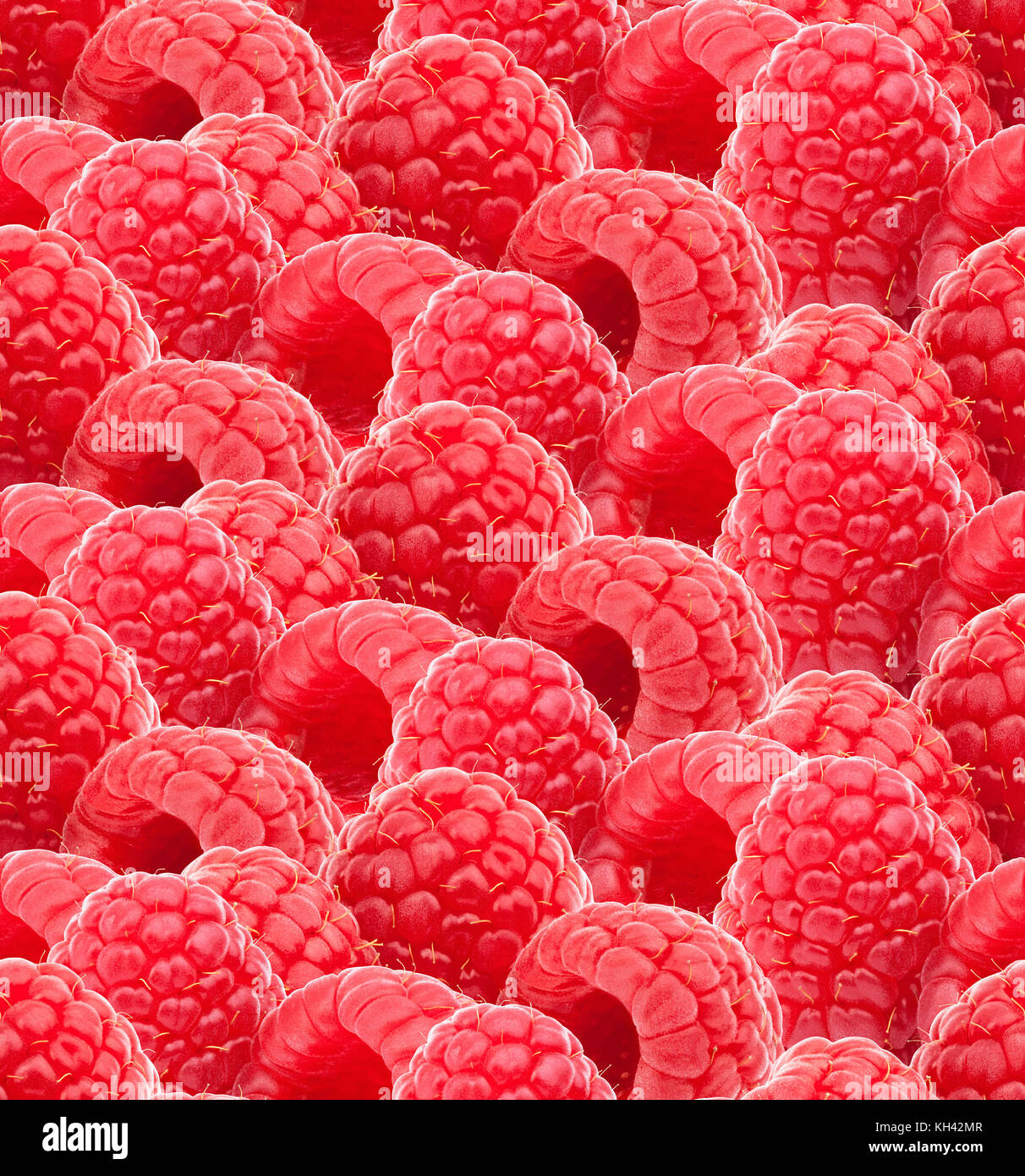 Nahtlose Textur mit Himbeeren Stockfoto