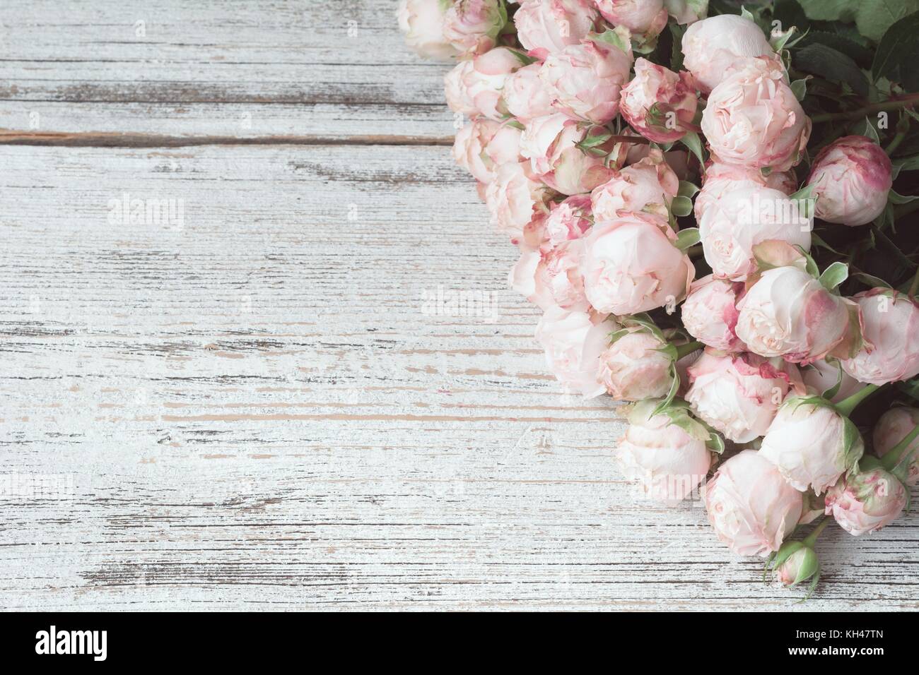 Rosen auf vintage Holz- Hintergrund. Floral frame Hintergrund, Hochzeit Hintergrund oder Hochzeit Postkarte. Kopieren Sie Platz für Text Ansicht von oben Stockfoto