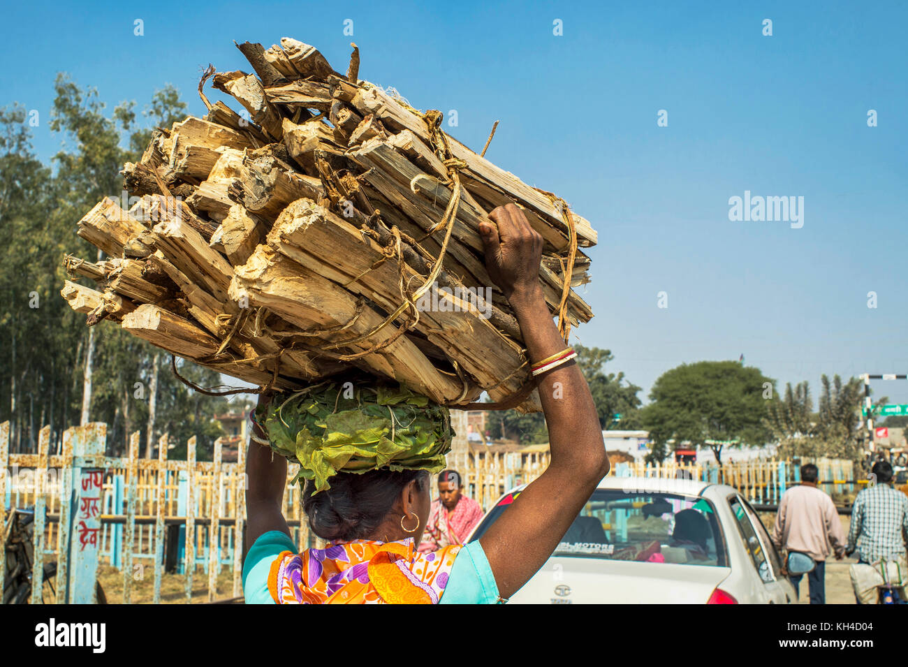 Frau, die Feuer Holz am Kopf, jharkhand, Indien, Asien Stockfoto