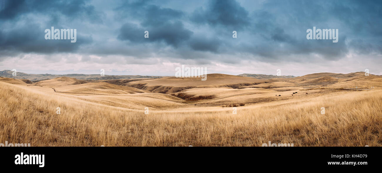Gareja Wüste, der Region Kachetien, Georgia. Herbst Landschaft in der Nähe von sagarejo Gemeinde, Region Kachetien. Stockfoto