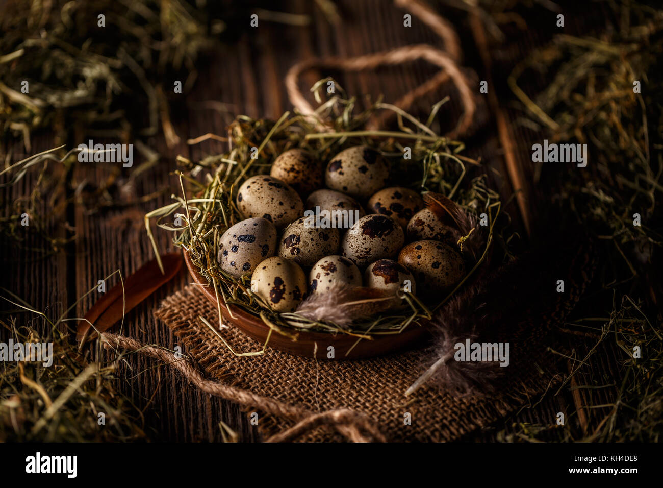 Wachteleier im Heu Nest auf Holz- Hintergrund Stockfoto