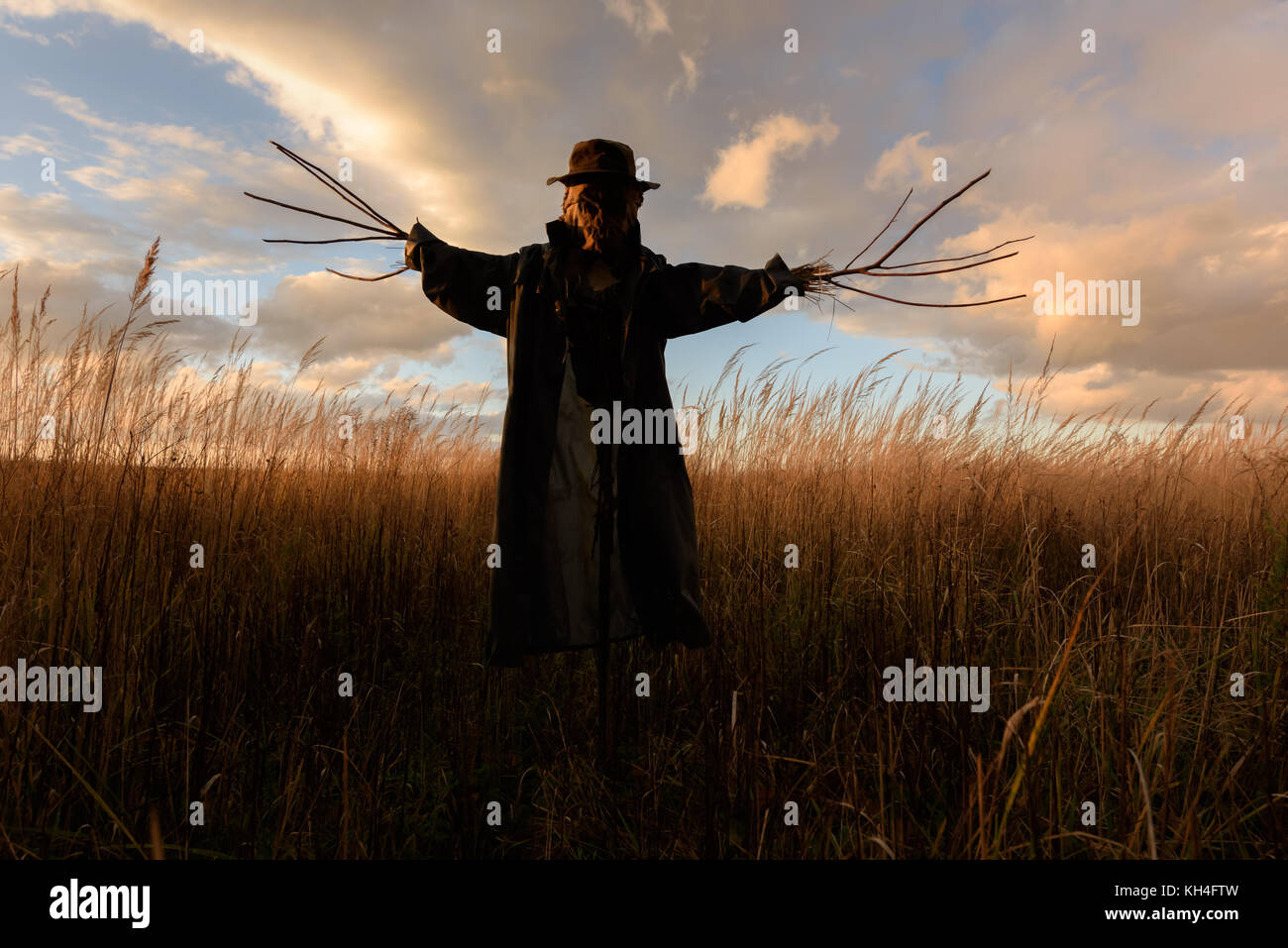 Beängstigend Vogelscheuche in einen Hut Stockfoto