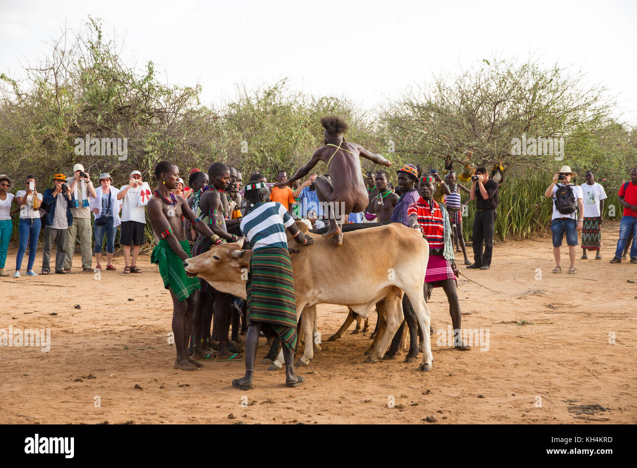 Turmi, Äthiopien - 14/11/16: Ein junger Mann aus der Hamar Stamm, die an der kommenden von Alter, Bull springen Zeremonie (laufen über die Bulls) Stockfoto