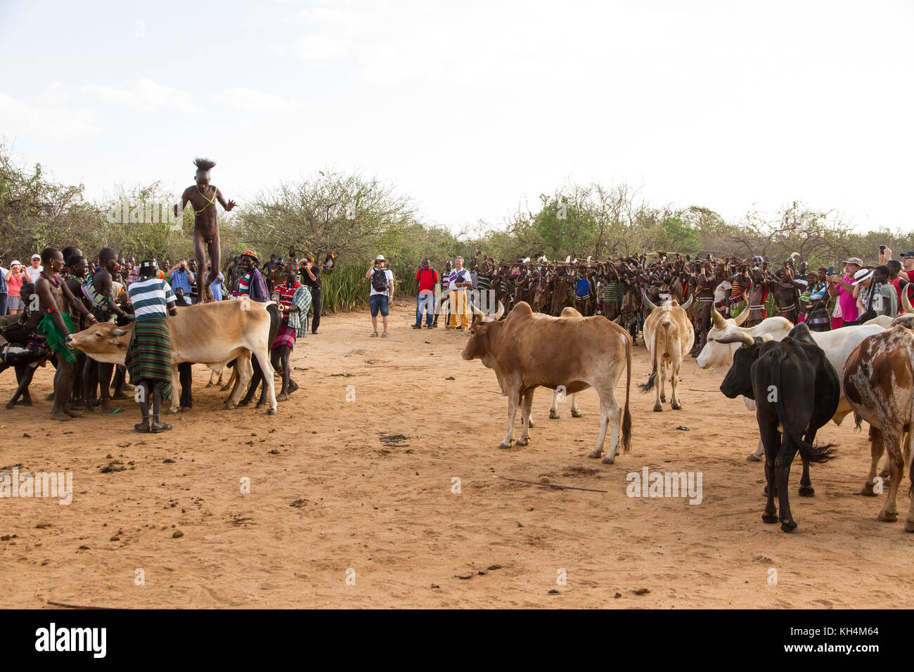 Turmi, Äthiopien - 14/11/16: Ein junger Mann aus der Hamar Stamm, die an der kommenden von Alter, Bull springen Zeremonie (laufen über die Bulls) Stockfoto