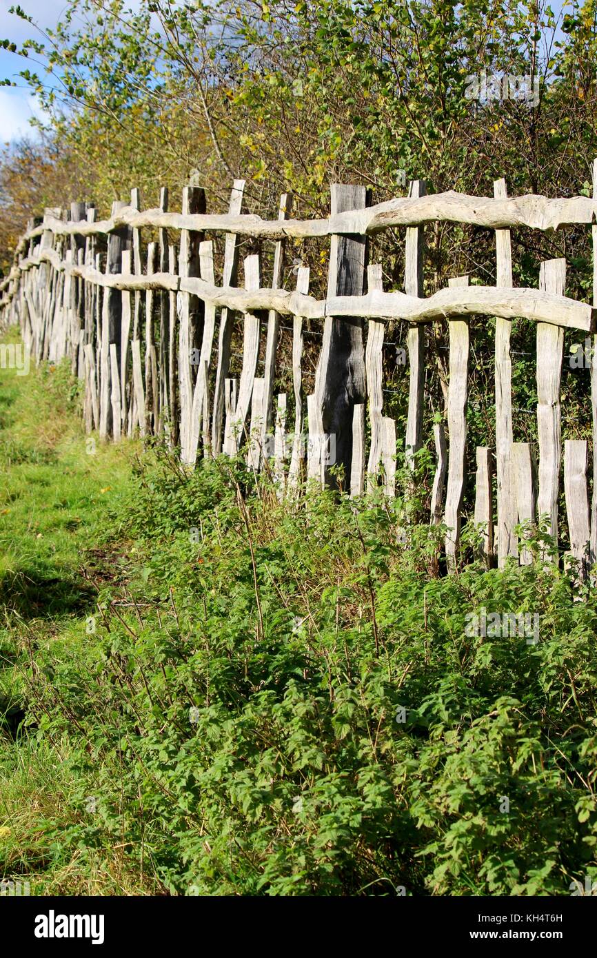 Der Roman Zaun Charlecotte Park. Stockfoto