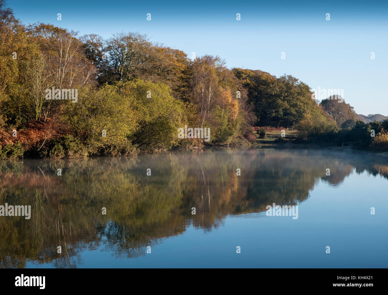 Am frühen Morgen Licht über der Cadman Pool, im New Forest, die Farben des Herbstes von Bäumen und Sträuchern im ruhigen Wasser, Hampshire wider zeigen, Großbritannien Stockfoto