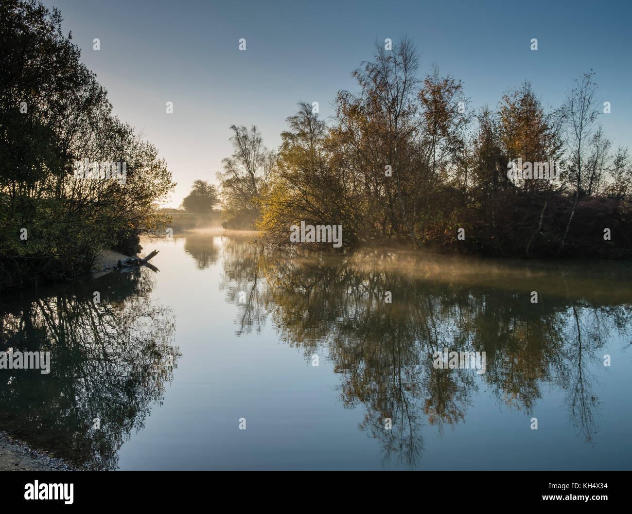 Am frühen Morgen Licht über der Cadman Pool, im New Forest, die Farben des Herbstes von Bäumen und Sträuchern im ruhigen Wasser, Hampshire wider zeigen, Großbritannien Stockfoto