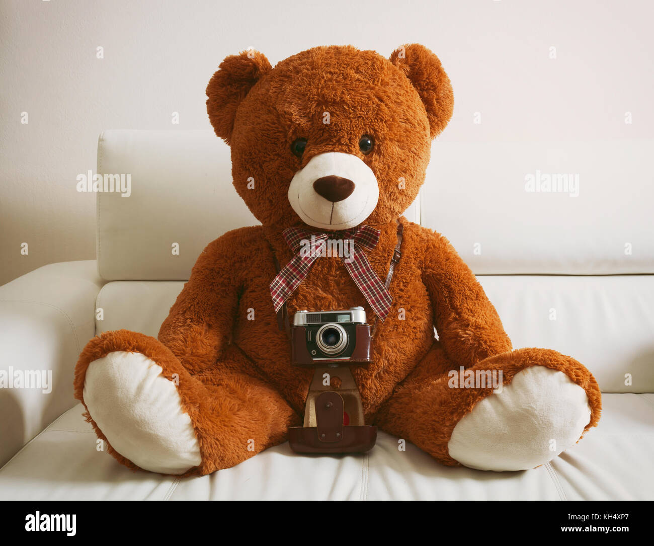 Grosse Teddybär mit Vintage 35-mm-Kamera. Es gibt keine trankmarks. Stockfoto