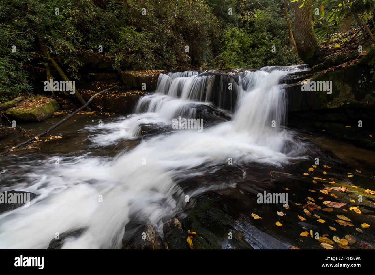 Wildcat Creek liegt in Rabun County im Norden Georgiens.  Es fließt in der Regel West nach Ost, mündet in Lake Burton entlang der westlichen Seite.  Es gibt einen gut entwickelter Campingplatz entlang Wildcat Creek Road, die den Zugang zu den Creek in diesem Bereich ist.  Es ist jährlich mit Regenbogenforellen bestückt und ist sehr beliebt bei Fischer. Stockfoto