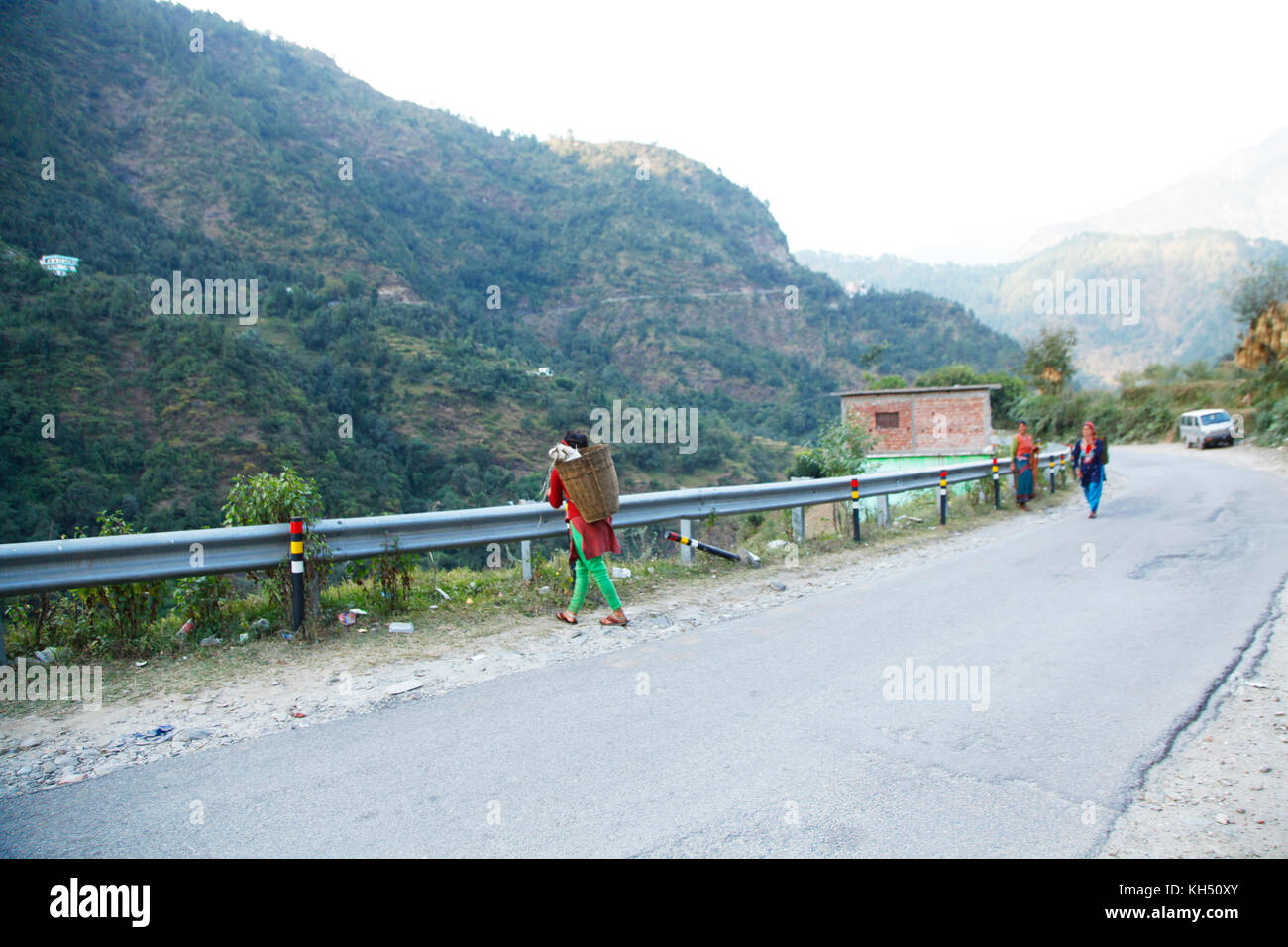 Uttarakhand, Himalayan Mountain Frauen Leben und arbeiten, die Herstellung von grünem Futter aus Weizen hilft Tieren. (Copyright © Saji Maramon) Stockfoto